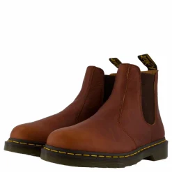 2976 Cashew Ambassador
