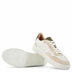 Adventure Ii 260 Creme Combo