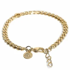 Bracelet Gold Steel
