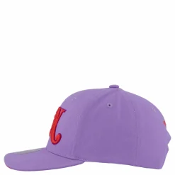 Branded Overlay Pro Snapback