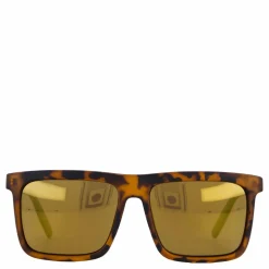 Bruce Turtle Brown