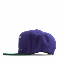 Bucks Monument Snapback HWC