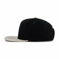 Bucks Pin Drop Snapback