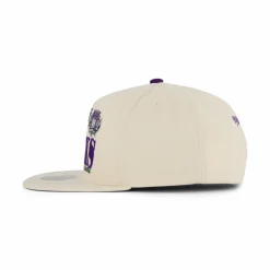 Bucks Reframe Retro Snapback HWC