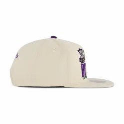 Bucks Reframe Retro Snapback HWC