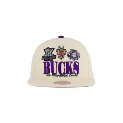 Bucks Reframe Retro Snapback HWC