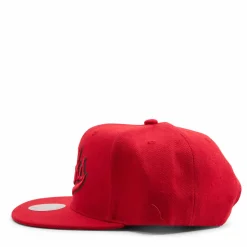 Bucks Two Tonal Snapback HWC