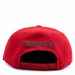 Bucks Two Tonal Snapback HWC