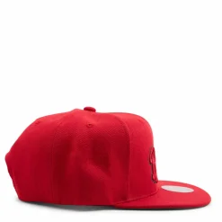 Bucks Two Tonal Snapback HWC
