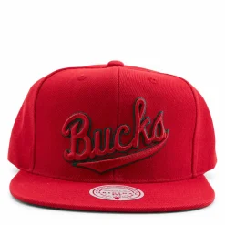 Bucks Two Tonal Snapback HWC