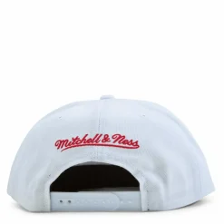 Bulls 1991 Champs Snapback