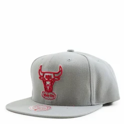 Bulls 2 Tonal Snapback HWC