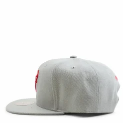 Bulls 2 Tonal Snapback HWC