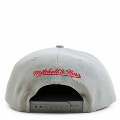 Bulls 2 Tonal Snapback HWC