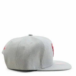 Bulls 2 Tonal Snapback HWC