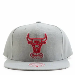 Bulls 2 Tonal Snapback HWC