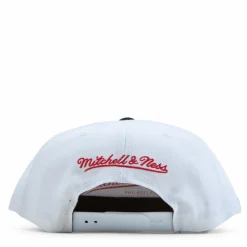 Bulls Back To 93 Snapback