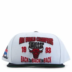 Bulls Back To 93 Snapback