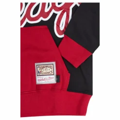 Bulls Big Face Hoody 5.0