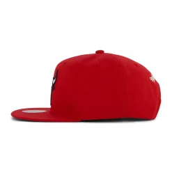Bulls Conference Patch Snapback