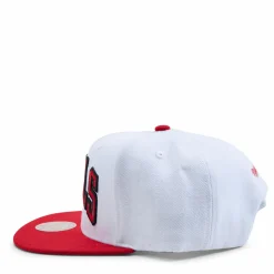 Bulls Core Basics Snapback