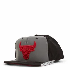 Bulls Day 5 Snapback
