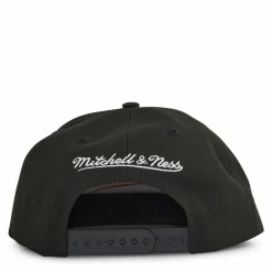 Bulls Iridescent Wordmark Snapback