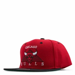 Bulls Monument Snapback