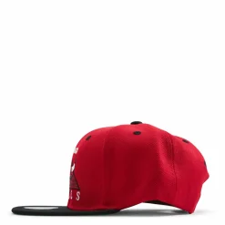 Bulls Monument Snapback