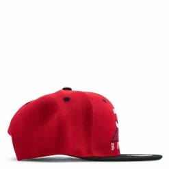 Bulls Monument Snapback