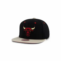 Bulls Pin Drop Snapback