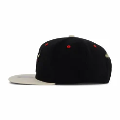 Bulls Pin Drop Snapback