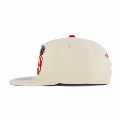 Bulls Reframe Retro Snapback HWC