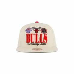 Bulls Reframe Retro Snapback HWC
