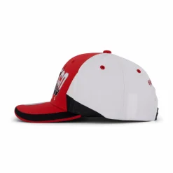 Bulls Retrodome Pro Snapback