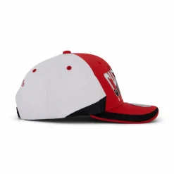 Bulls Retrodome Pro Snapback