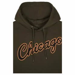 Bulls Script Flight Hoodie