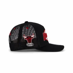 Bulls Team Seal Trucker HWC