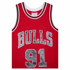 Bulls 75th Anniversary Swingman Jersey - Rodman