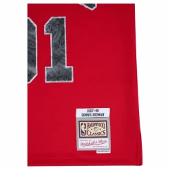 Bulls 75th Anniversary Swingman Jersey - Rodman