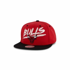 Bulls Transcript Snapback