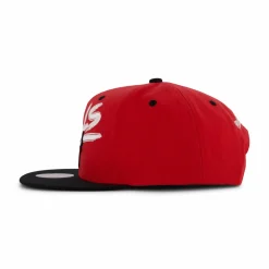 Bulls Transcript Snapback