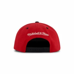 Bulls Transcript Snapback