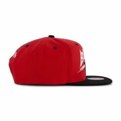 Bulls Transcript Snapback