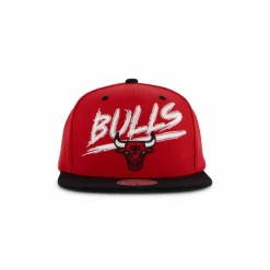 Bulls Transcript Snapback