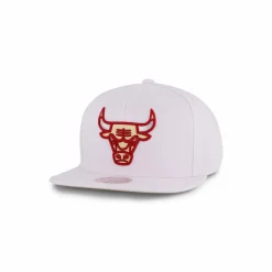 Bulls Winter Snapback