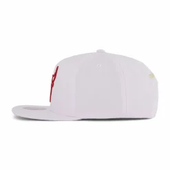 Bulls Winter Snapback
