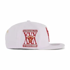 Bulls Winter Snapback