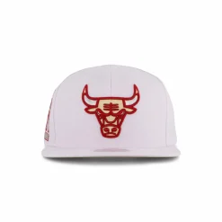 Bulls Winter Snapback