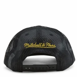Cavaliers 2016 Championship Trucker